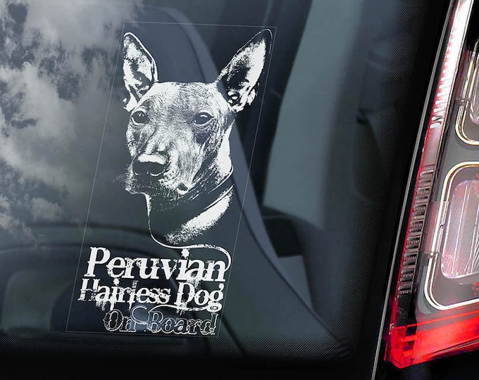 Peruvian Hairless Dog on Board - Car Window Sticker - Perro Sin Pelo Inca Orchid Sign Decal - V01