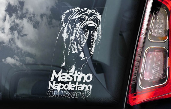 Mastino Napoletano on Board - Car Window Sticker - Neapolitan Mastiff Dog Sign Decal - V02