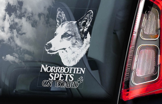 Norrbottenspets on Board - Car Window Sticker -  Nordic Spitz Dog Sign Decal - V01