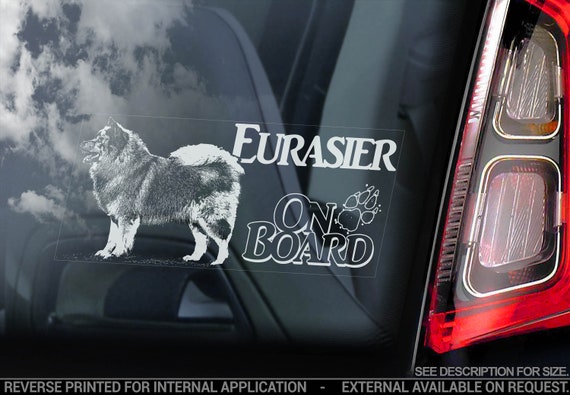 Eurasier on Board - Car Window Sticker - Eurasian Spitz Dog Sign Gift Decal - V03