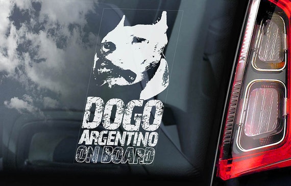 Dogo Argentino on Board - Car Window Sticker - Argentine Mastiff Sign Gift Decal - V02