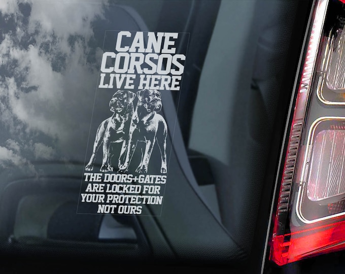 Cane Corsos Live Here - Car Window Sticker - Beware of the Dog - Italian Mastiff Sign Decal - V13