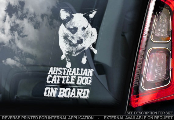 Australian Cattledog on Board - Car Window Sticker - Cattle Dog Sign Decal Gift - V02