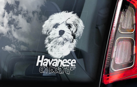 Havanese on Board - Car Window Sticker - Bichon Habanero Dog Sign Decal - V01