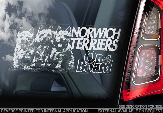 Norwich Terriers on Board - Car Window Sticker - Terrier Dog Sign Decal Gift Art - V02