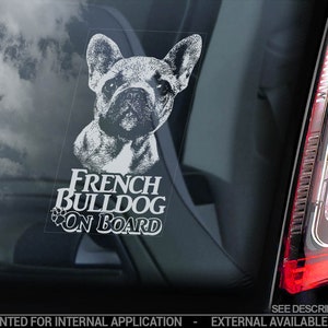 フレンチブルドッグが車に乗っている - 車の窓用ステッカー - Bouledogue Français 犬用看板デカール（トリミングなし） - V05