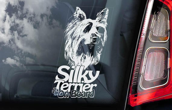 Silky Terrier on Board - Car Window Sticker - Australian Dog Sign Decal Sign - V01