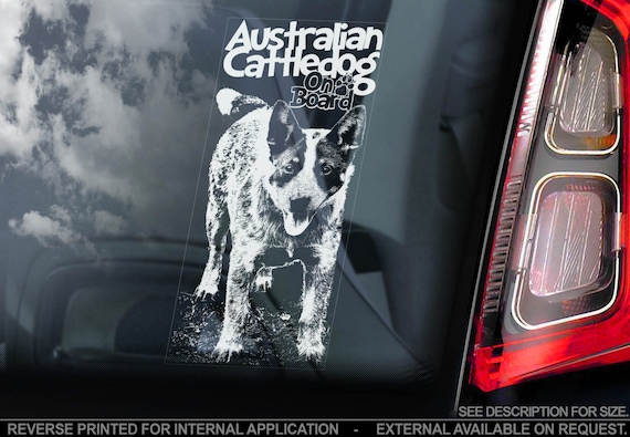 Australian Cattledog on Board - Car Window Sticker - Cattle Dog Sign Decal Gift - V04