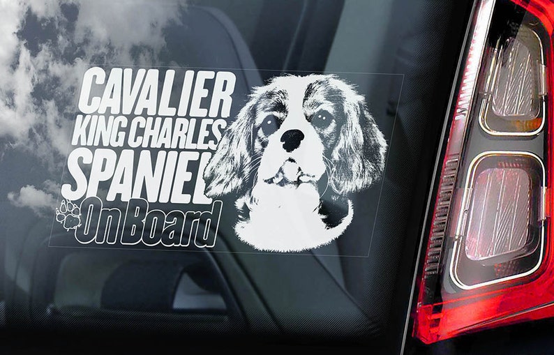 Cavalier King Charles Spaniel Car Window Sticker Dog on Board Sign Decal V02 image 1