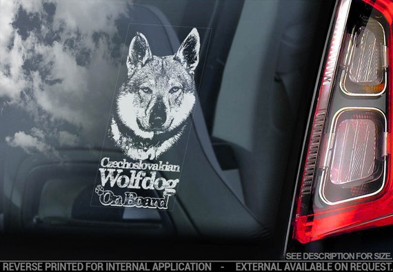 Czechoslovakian Wolfdog on Board - Car Window Sticker - Vlcak Cane Lupo Cecoslovacco Sign Decal - V20