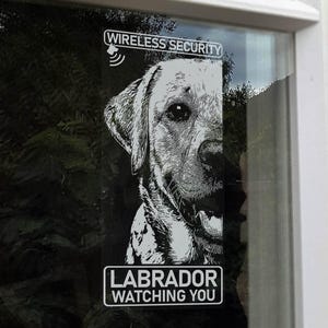 May include: A black and white sticker on a window features a detailed illustration of a Labrador Retriever's face. The text "WIRELESS SECURITY" is at the top, and "LABRADOR WATCHING YOU" is at the bottom.