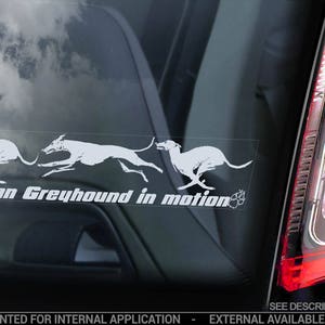 イタリアン・グレイハウンドが乗っている - 車の窓用ステッカー - Levrette d'Italie Galgo italiano 犬用サインデカール - V05