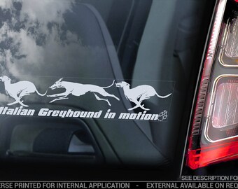 May include: A white decal sticker with the text "Italian Greyhound in motion" and three stylized images of greyhounds running. The sticker is applied to the rear window of a car.