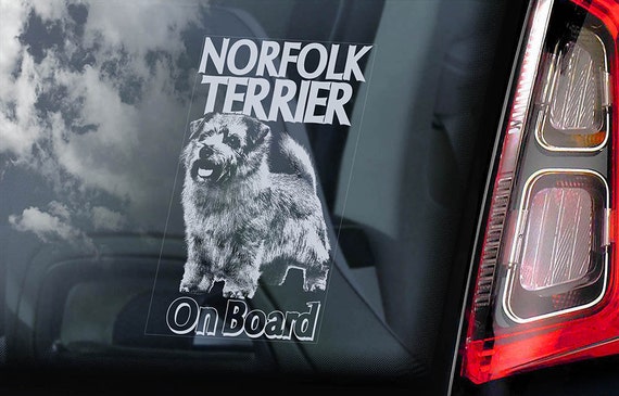 Norfolk Terrier on Board - Car Window Sticker - Working Dog Sign Decal - V02