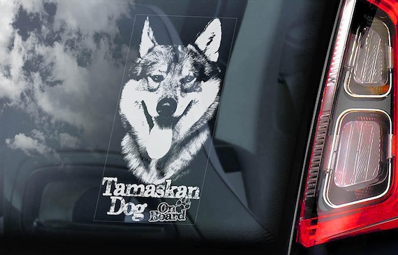 Tamaskan Dog on Board - Car Window Sticker - Tam Husky Sign Decal - V03