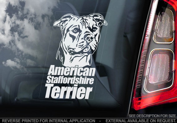 American Staffordshire Terrier on Board - Car Window Sticker - Staffie Staffy Dog Sign Decal Gift - V02