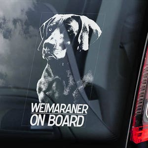 ワイマラナーが乗っている - 車の窓用ステッカー - Vorstehhund 犬用サインデカール - V01