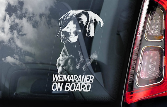 Weimaraner on Board - Car Window Sticker - Vorstehhund Dog Sign Decal - V01