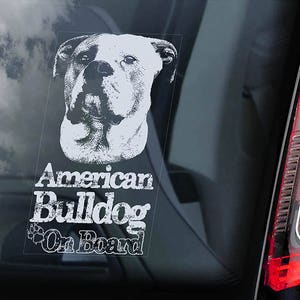 アメリカンブルドッグが乗っている - 車の窓用ステッカー - 犬のブルドッグに注意 スコットサイン デカール - V05