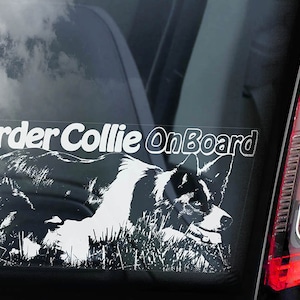 Border Collie on Board - Car Window Sticker - Dog Sign Scottish Sheepdog Decal  -V02