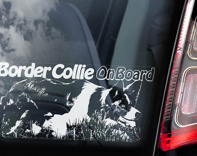Border Collie on Board - Car Window Sticker - Dog Sign Scottish Sheepdog Decal  -V02