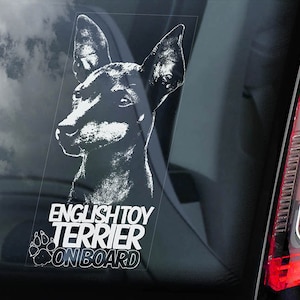 Englischer Toy Terrier an Bord - Autofenster Aufkleber - Black & Tan Hundeschild Geschenkaufkleber - V01