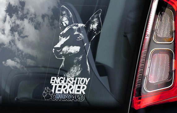 English Toy Terrier on Board - Car Window Sticker - Black & Tan Dog Sign Gift Decal - V01