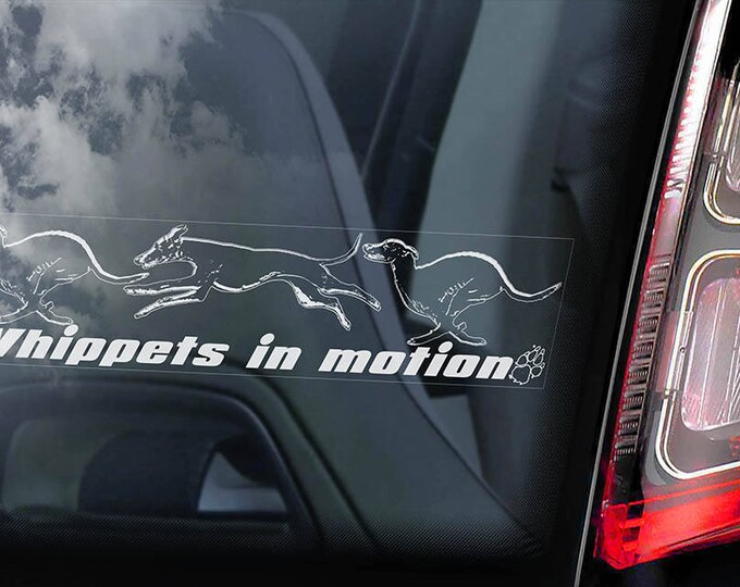 Whippets in Motion - Car Window Sticker - English Whippet Snap Dog on Board Sign Decal - V04