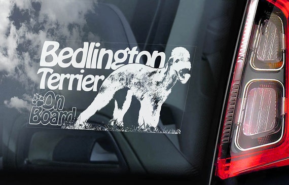 Bedlington Terrier on Board - Car Window Sticker - Rothbury Rodbery Sign Decal Art Gift - V02