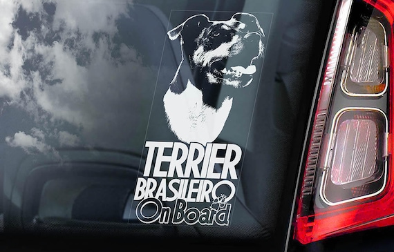 Terrier Brasileiro on Board - Car Window Sticker - Brazilian Terrier Fox Paulistinha Sign Decal - V01