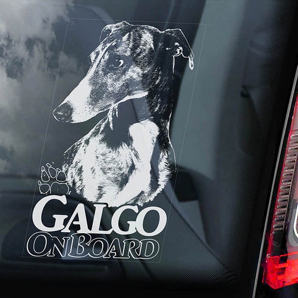 Galgo a bordo - Adesivo finestrino auto - Español Cane Levriero Spagnolo Espanol Segno Decalcomania -V02