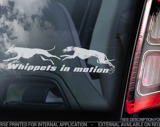 Whippets in Motion - Car Window Sticker - English Whippet Snap Dog on Board Sign Decal - V09