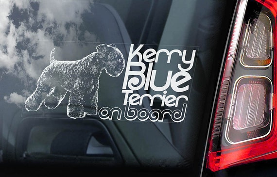 Kerry Blue Terrier on Board - Car Window Sticker - Irish Dog Sign Decal - V01