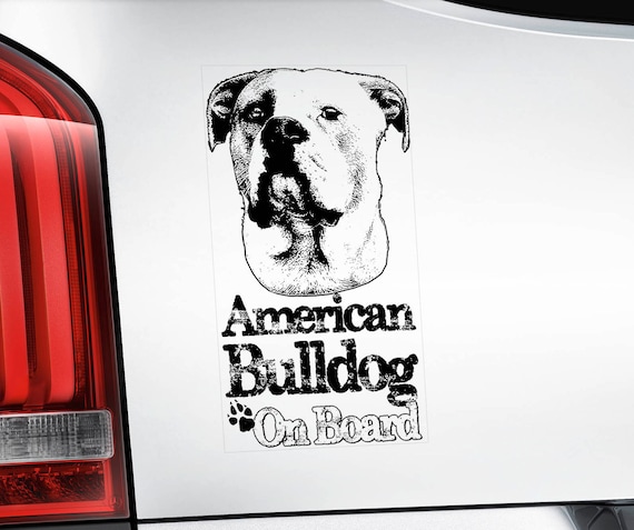 American Bulldog on Board - Car Window Sticker - Beware of the Dog Bully Scott Sign Decal -V05BLK