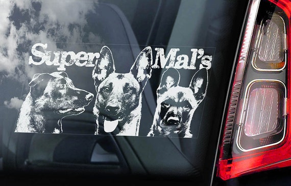 V08 Car Window Sticker WARNING Security K9 Belgian Malinois Dog Sign Decal