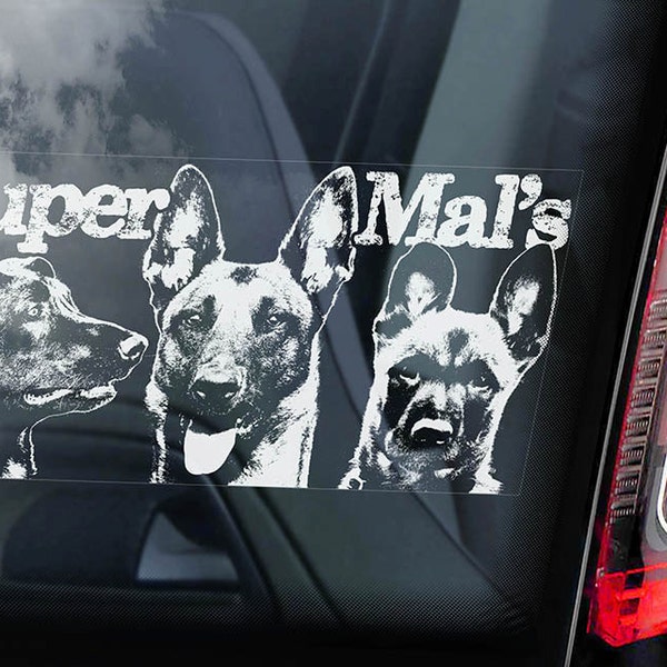 Super Mals ! -Belge Malinois à bord - voiture fenêtre - criée Herder sécurité K9 chien signe d’autocollant-V12