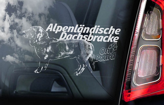 Alpenlandische Dachsbracke on Board - Car Window Sticker - Dog Sign Decal Alpine -V01