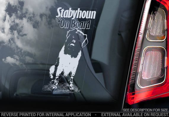 Stabyhoun on Board - Car Window Sticker - Stabij Beike Dog Sign Decal - V05