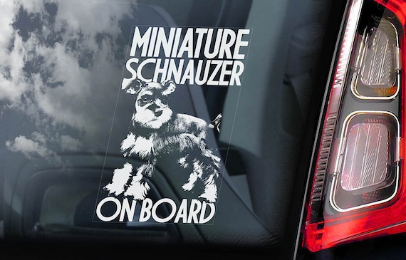 Miniature Schnauzer on Board - Car Window Sticker - Zwergschnauzer Dog Sign Decal -V01