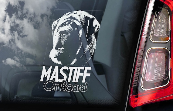 INDIGOS UG Adesivo Auto JDM – 'Got Mastiff?' Bull English – Decalcomania In Vinile Bianco 149x27 Mm