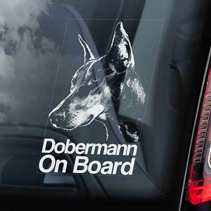 ドーベルマン乗車中 - 車の窓用ステッカー - ドーベルマン・ピンシャー K9 犬用サインデカール - V01