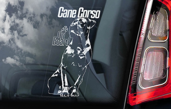 Cane Corso on Board - Car Window Sticker - Beware of the Dog - Italian Mastiff Sign Decal  -V03