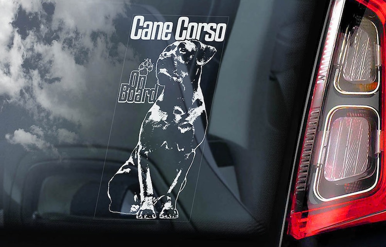 May include: White vinyl sticker with a silhouette of a Cane Corso dog and the text "Cane Corso" and "On Board".
