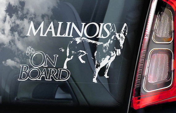 Malinois on Board - Car Window Sticker - Belgian Mechelse Herder Security K9 Dog Sign Decal  -V04