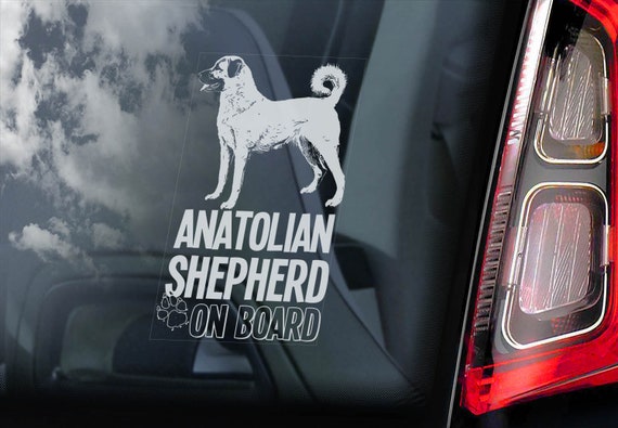 Anatolian Shepherd on Board - Car Window Sticker - Dog Sign Decal Gift - V07