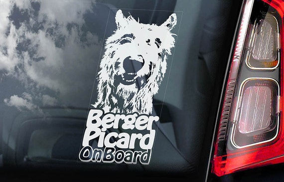 Berger Picard on Board - Car Window Sticker - Dog de Picardie Sign Decal Art Gift - V02