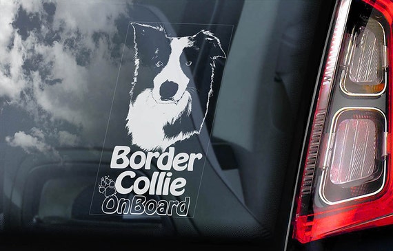 Border collie car clearance decal