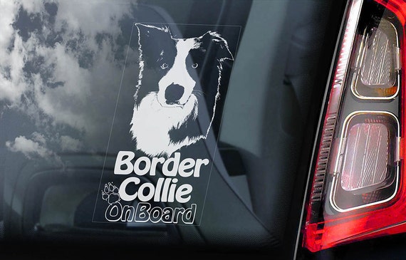 Border Collie on Board - Car Window Sticker - Dog Sign Scottish Sheepdog Decal  -V06