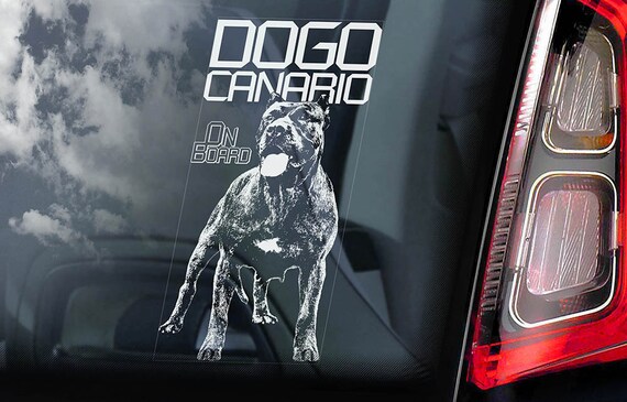 Dogo Canario on Board - Car Window Sticker - Perro de Presa Canary Mastiff Sign Gift Decal - V01
