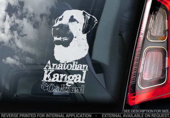 Anatolian Kangal on Board - Car Window Sticker - Dog Sign Decal Gift - V01